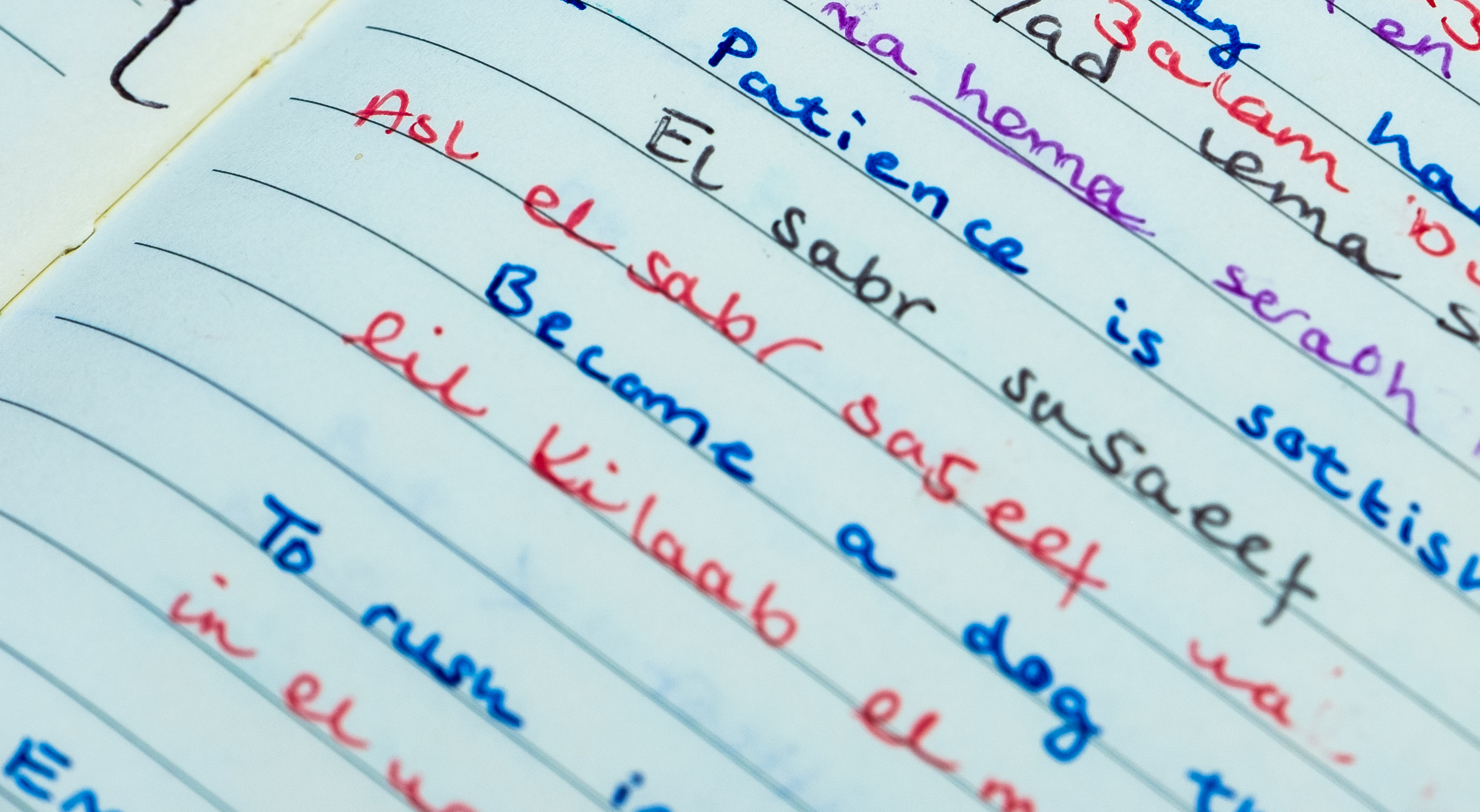 handwritten text in different colours on lined paper