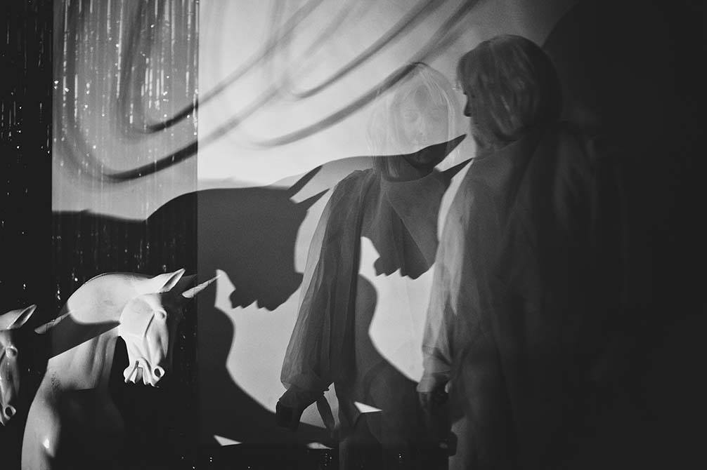 Unicorn, shadows, figure and its reflection