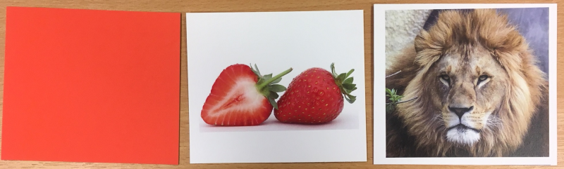 red strawberry lion