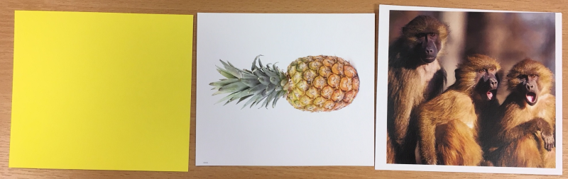 yellow pineapple monkey