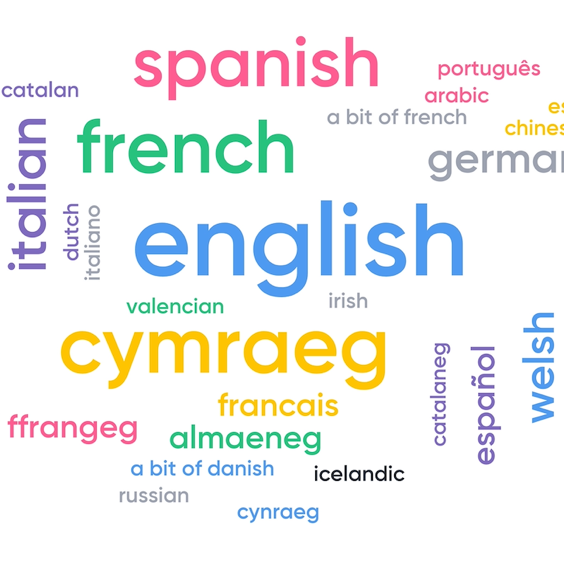 Word cloud of languages spoken by attendees