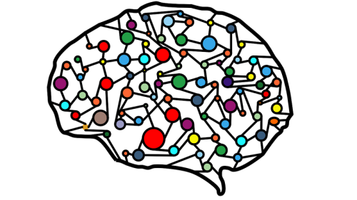 Brain neural network