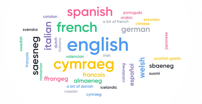 Word cloud of languages spoken by attendees